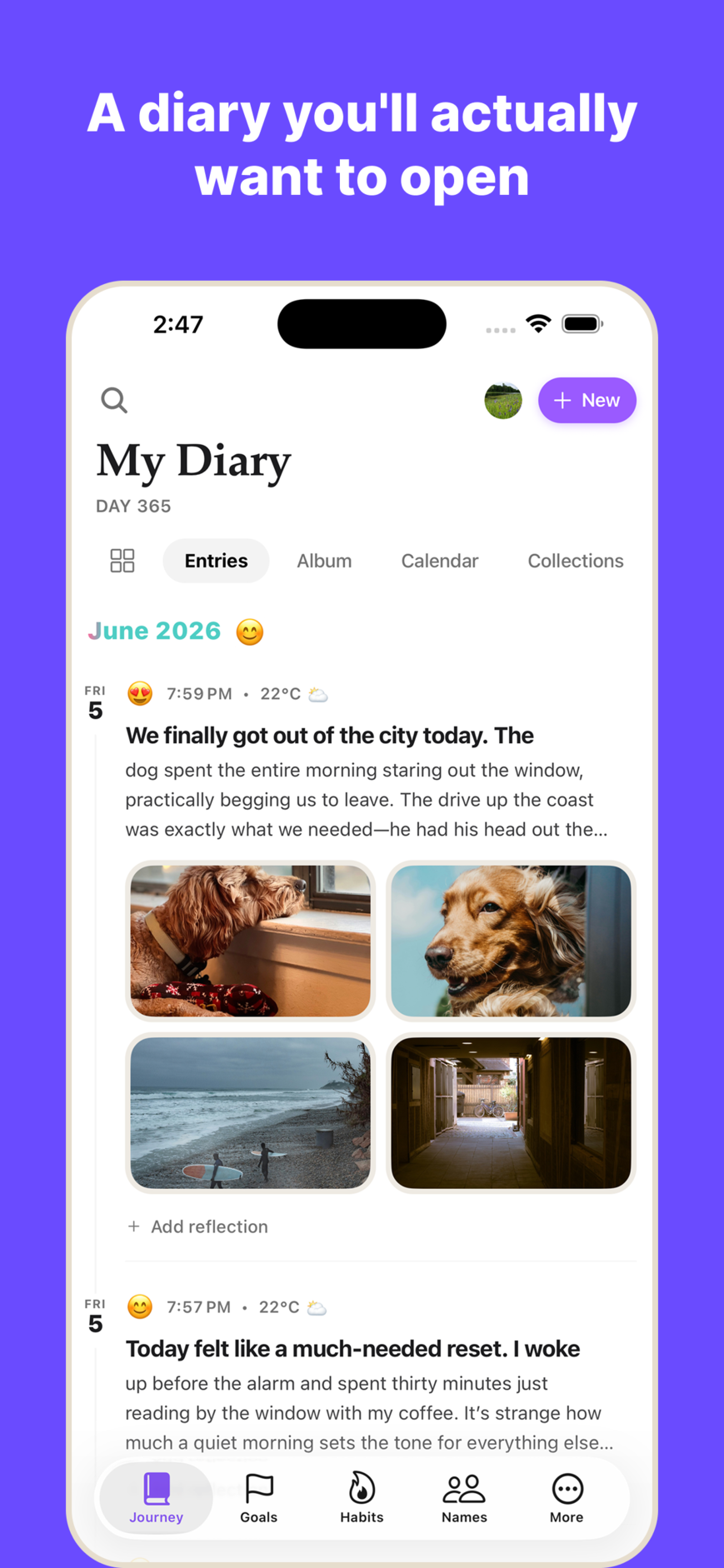 WispDay private diary interface showing the main home feed and latest entries