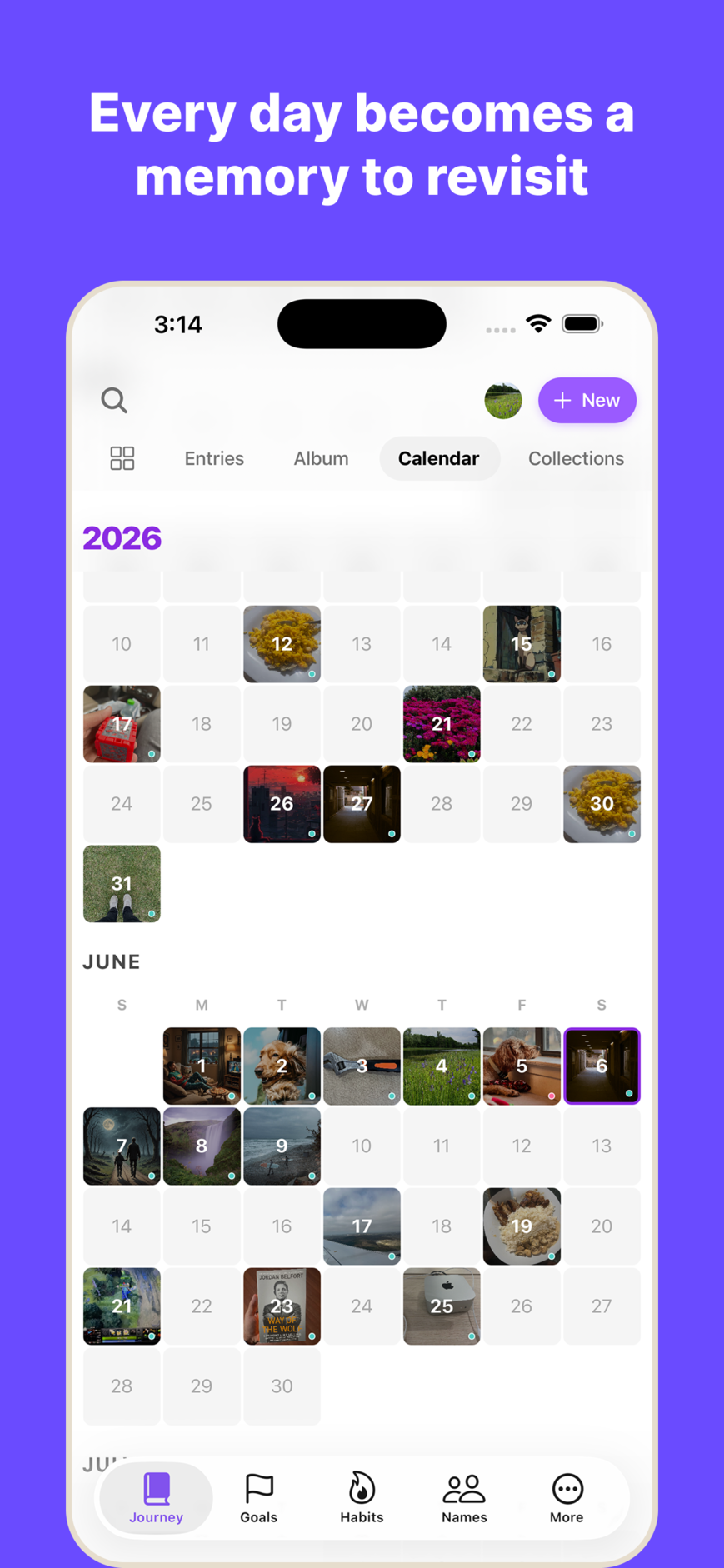 WispDay calendar view acting as a rich visual album and collection