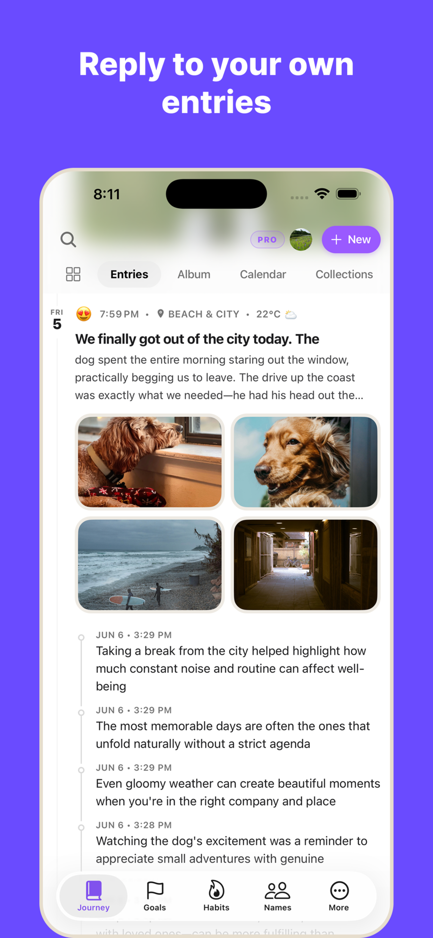 WispDay reflection feature allowing users to reply to old journal entries
