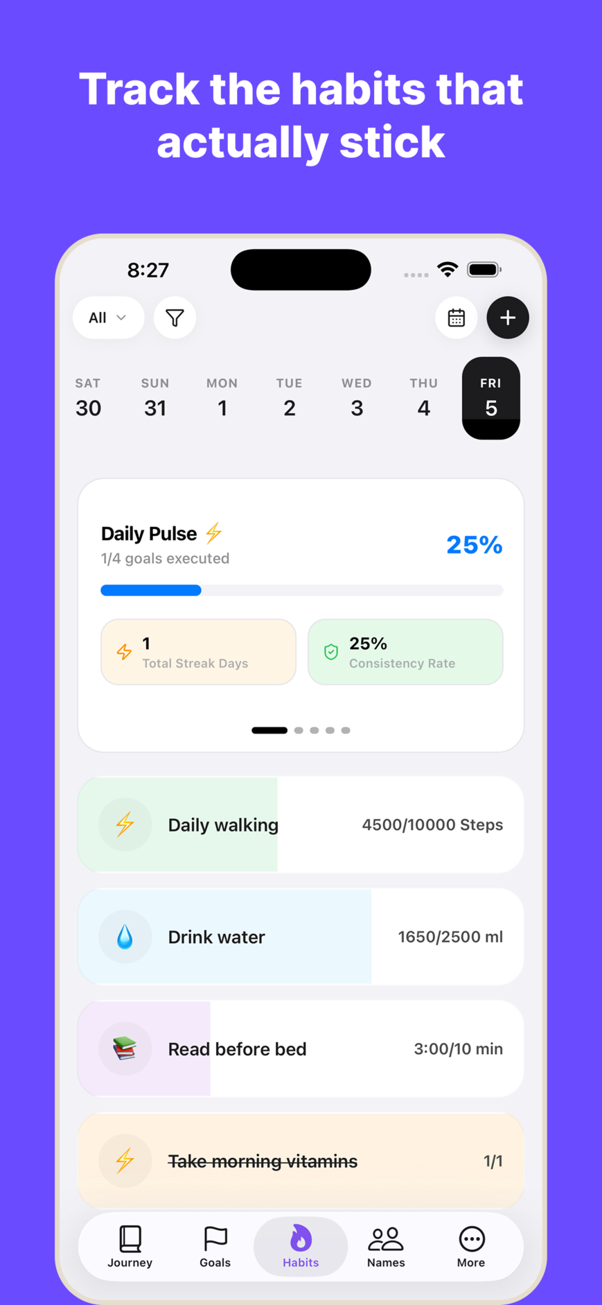 WispDay encrypted daily habit tracking interface